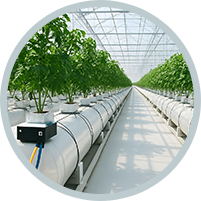 Irrigation